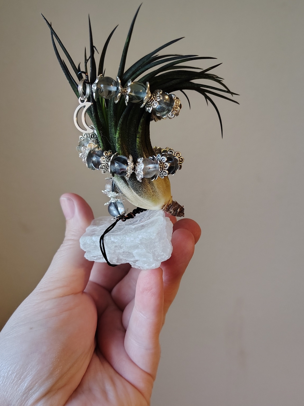 Air Plant & Handmade Air Plant Holder with Selenite & Smoky Quartz